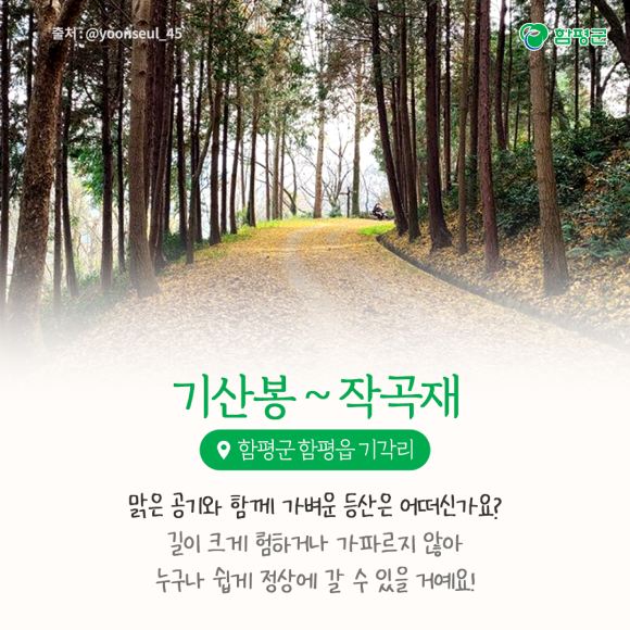 카드뉴스