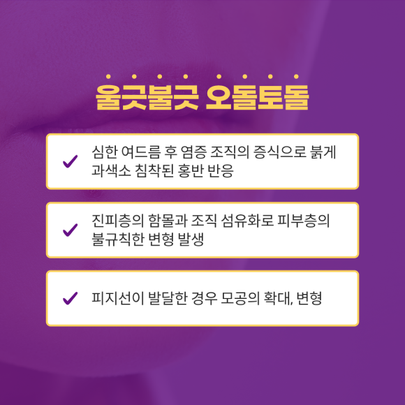 카드뉴스