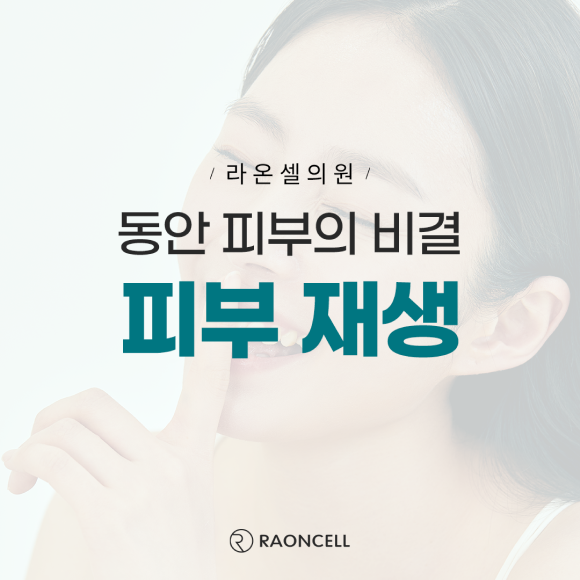 카드뉴스