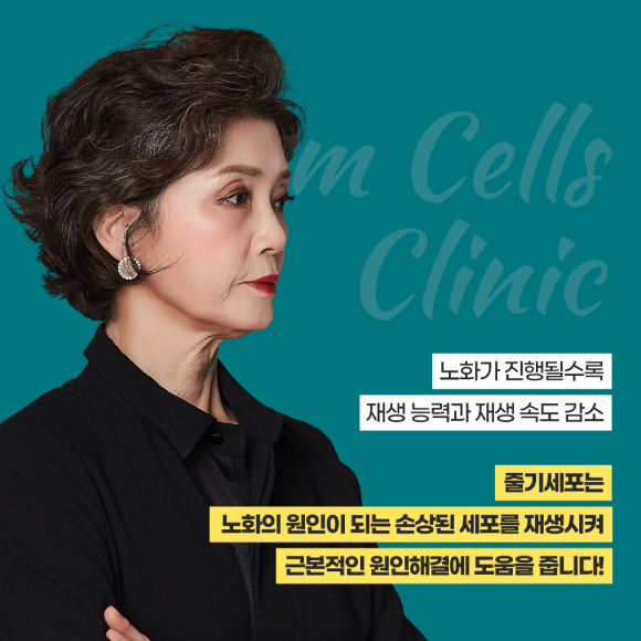카드뉴스