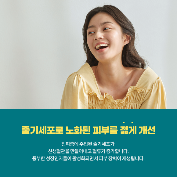 카드뉴스