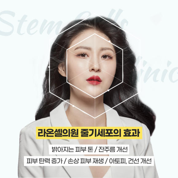 카드뉴스