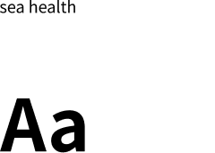 Noto Sans KR 폰트