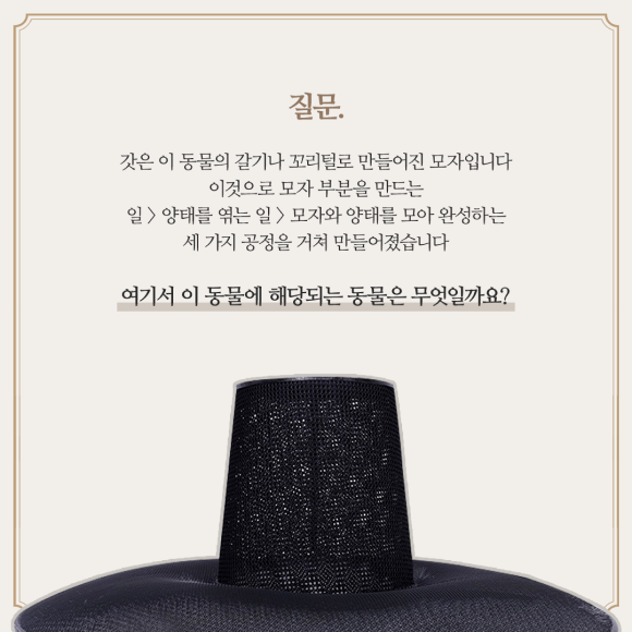 카드뉴스