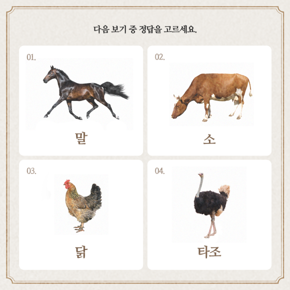 카드뉴스