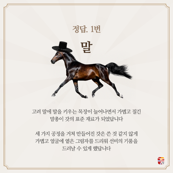 카드뉴스