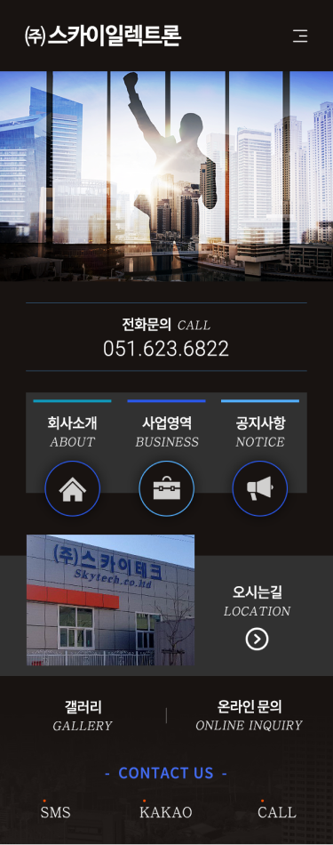 스카이 일렉트론